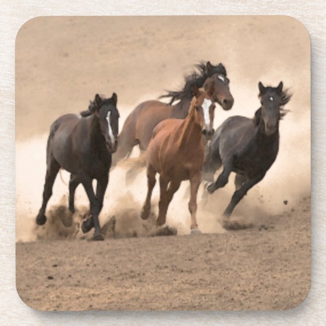 Horse In Fall II Drink Coaster (Front)