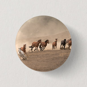 Horse In Fall II Pinback Button