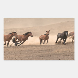 Horse In Fall II Rectangular Sticker