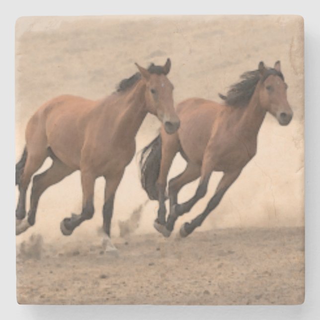 Horse In Fall II Stone Coaster (Front)