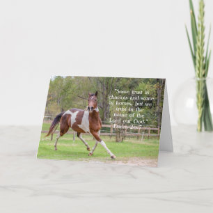 Horse in Field Greeting Card