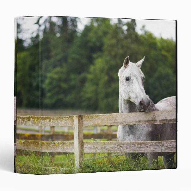 Horse in field looking over fence binder (Front/Spine)