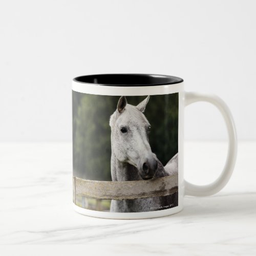 Horse in field looking over fence Two_Tone coffee mug