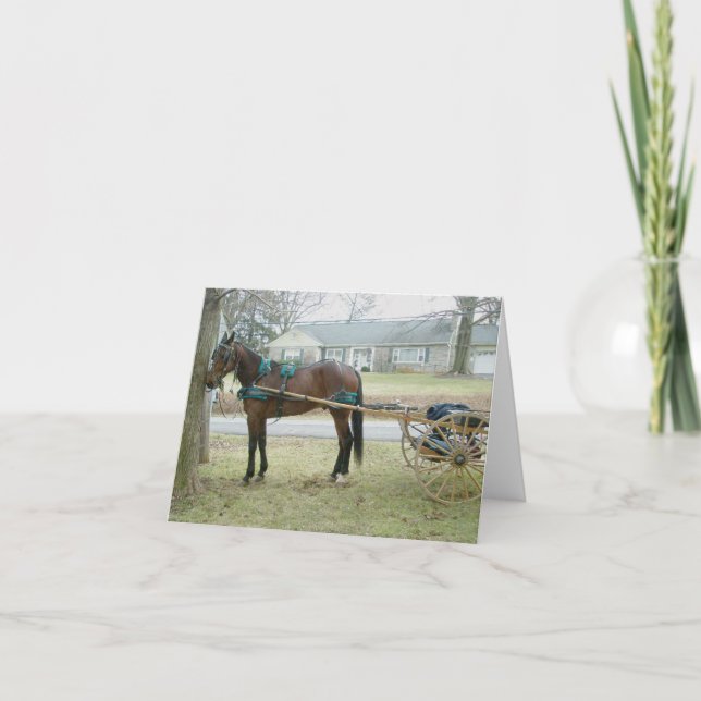 Horse in Harness Note Card (Front)