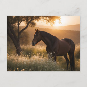 Horse in landscape  postcard