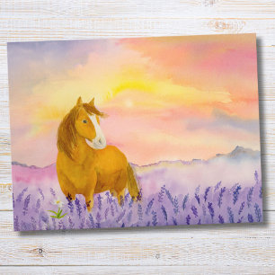 Horse in Lavender Field During Sunset  Postcard