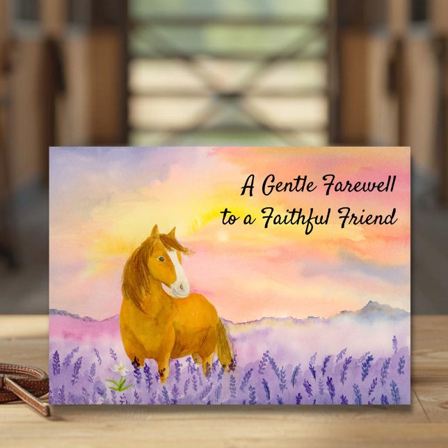 Horse in Lavender Field During Sunset Sympathy Card (Creator Uploaded)