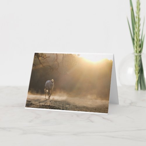 Horse in Light Equine Sympathy Card