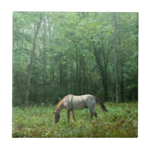 Horse in Meadow Ceramic Tile