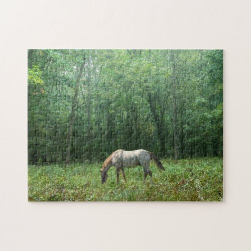 Horse in Meadow Jigsaw Puzzle