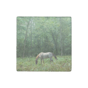 Horse in Meadow Stone Magnet