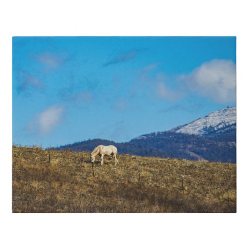 Horse in Montana USA Sky Rustic Photography Faux Canvas Print