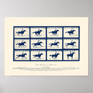 Horse In Motion - Sallie Gardner At A Gallop Poster
