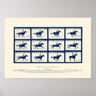 Horse In Motion - Sallie Gardner At A Gallop Poster
