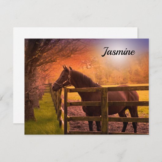 Horse in Paddock Personalized (Front/Back)