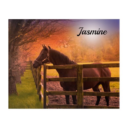 Horse in Paddock Personalized Acrylic Print