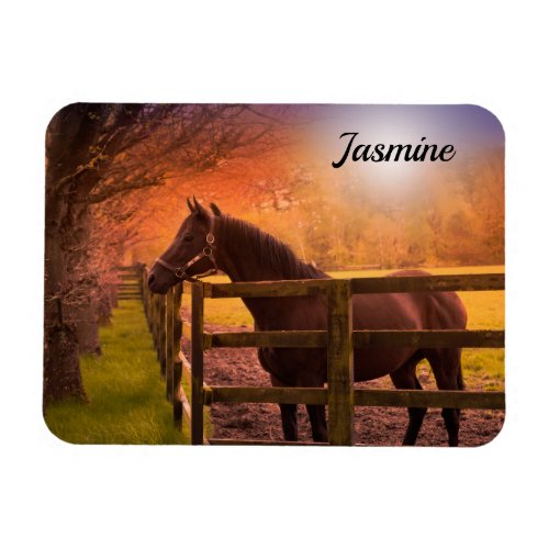 Horse in Paddock Personalized Magnet