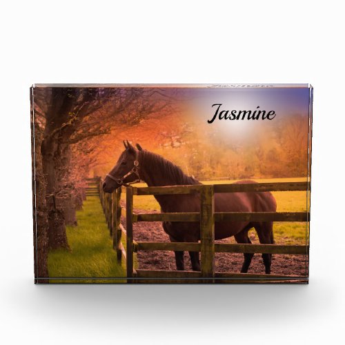 Horse in Paddock Personalized Photo Block