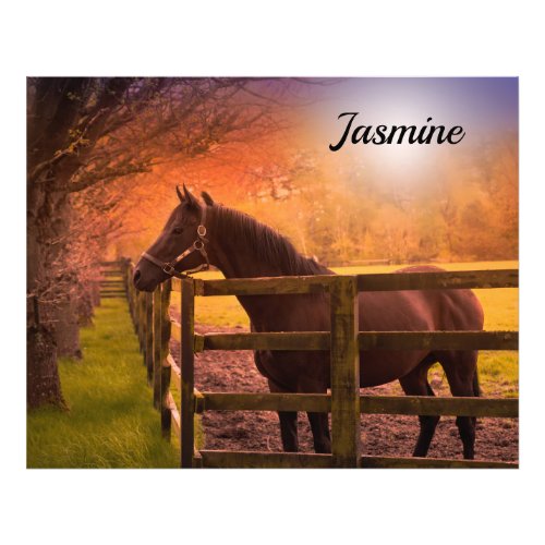 Horse in Paddock Personalized Photo Print