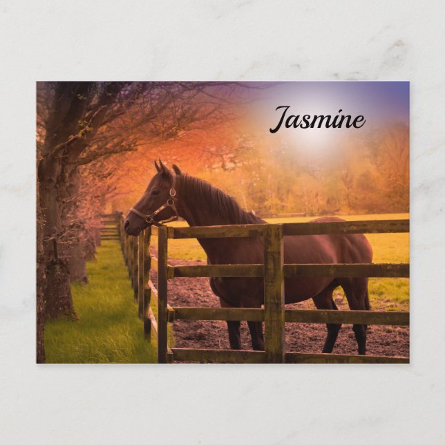 Horse in Paddock Personalized Postcard (Front)