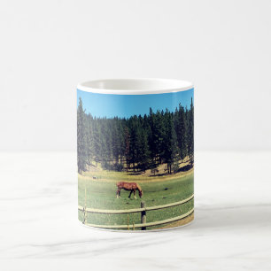 Horse in Pasture Coffee Mug
