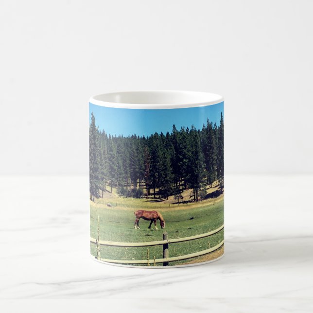 Horse in Pasture Coffee Mug (Center)