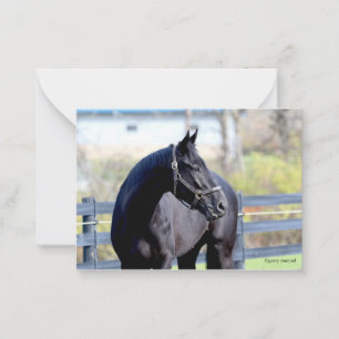 Horse In Pasture Note Card