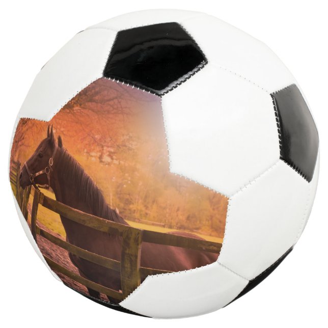 Horse in Pasture Soccer Ball (Three Quarter)