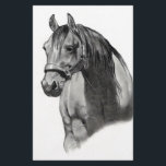 HORSE IN PENCIL<br><div class="desc">(multiple products selected) A front view of a horse's head and torso, drawn with Pencil in the Realism style. Great image for the horse lover in your life.</div>