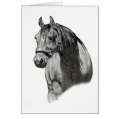 HORSE IN PENCIL (Front)