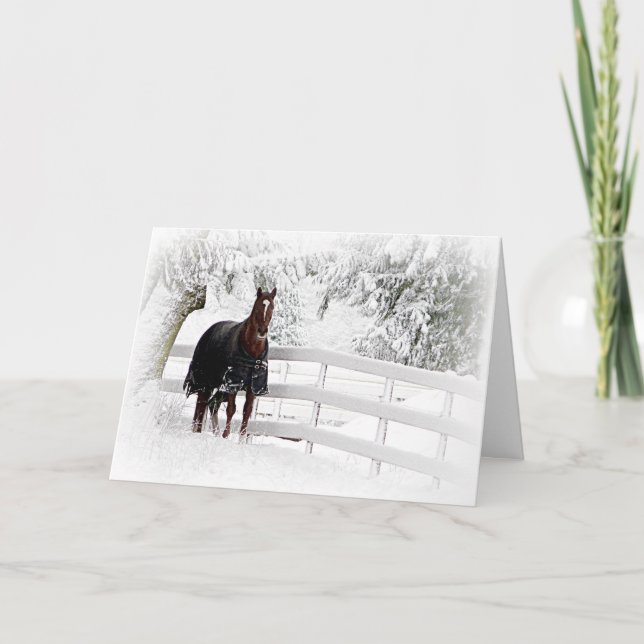 Horse in Snowy Pasture Card (Front)
