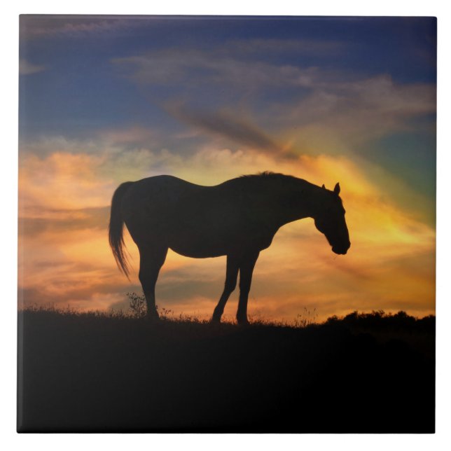 Horse in Southwestern Sunrise Art Ceramic Tile (Front)