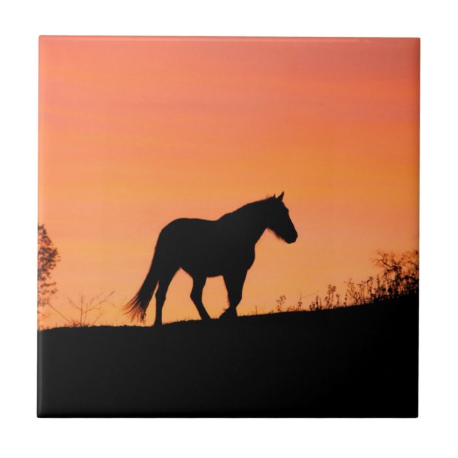 Horse in Southwestern Sunrise Ceramic Tile (Front)