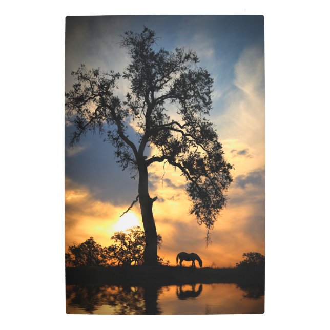 Horse In Southwestern Sunset And Pond Metal Print (Front)