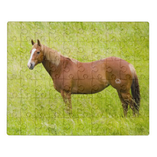 Horse in Spring Field Jigsaw Puzzle