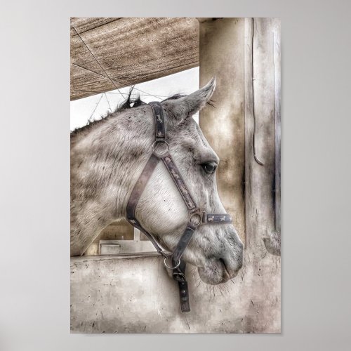 Horse in Stable Poster