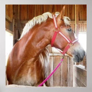 Horse in Stall 3 Poster