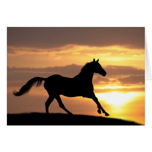 Horse In Sunset Cards (Front Horizontal)