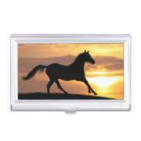 Horse In Sunset