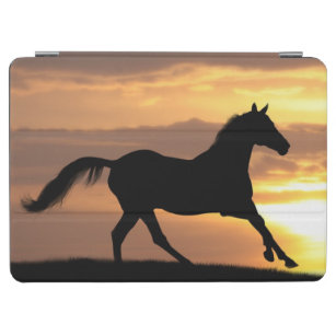 Horse In Sunset iPad Air Cover