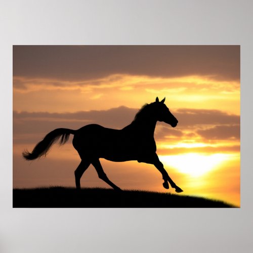 Horse In Sunset Poster