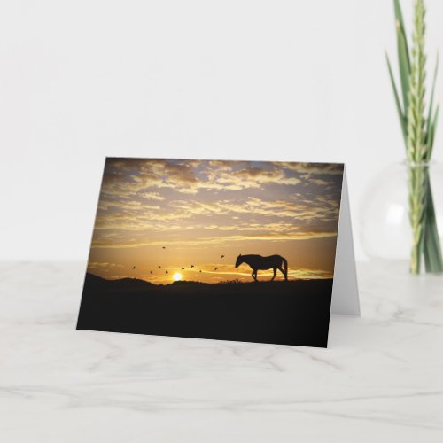 Horse in sunset sympathy card