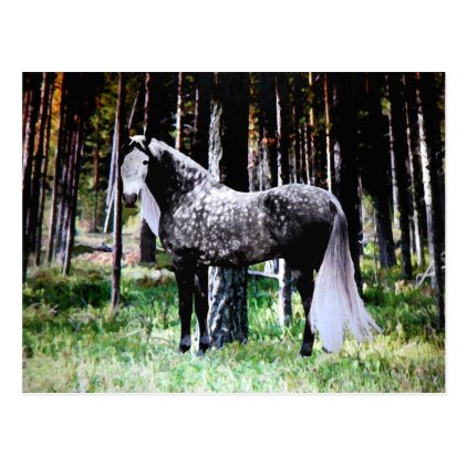 &quot;Horse In The Forest&quot; Postcard
