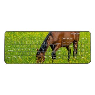 Horse keyboard, wireless