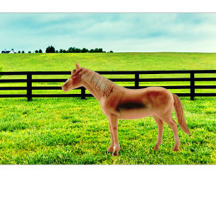 Horse in the Pasture Throw Pillow
