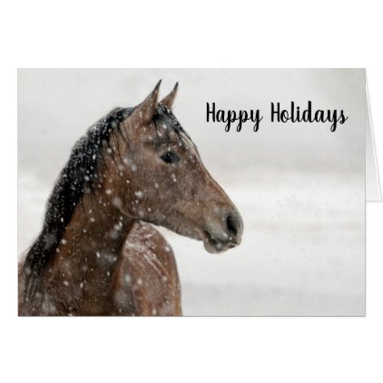 Horse in the Snow Holiday Card Christmas