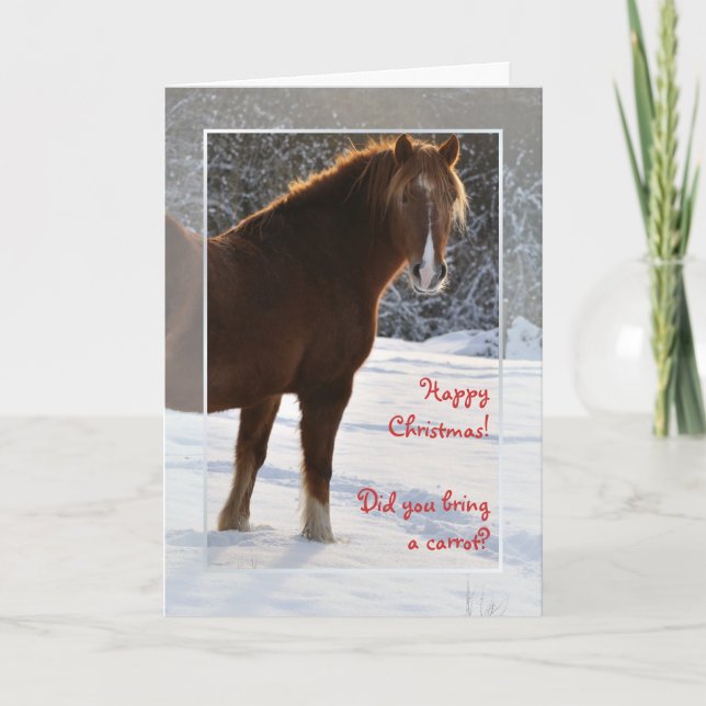 Horse in the snow Xmas card (Front)