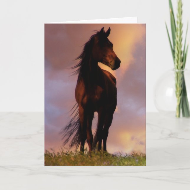 Horse in the Sunset Birthday Card (Front)