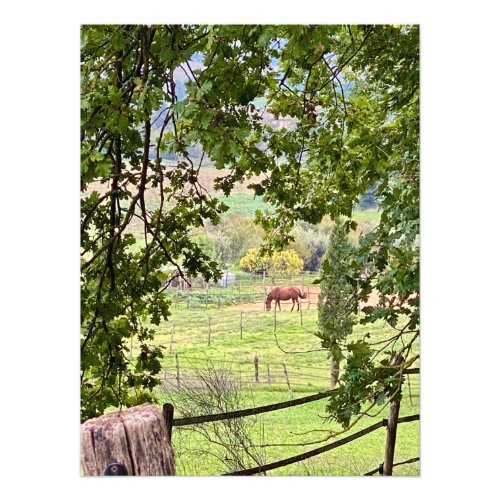 Horse in the Tuscan Countryside Photo Print