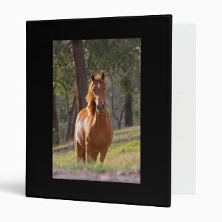 Horse In The Woods Binder